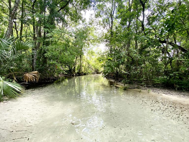Clear spring water at Rock Springs in Apopka, where the Floridan aquifer reaches the surface